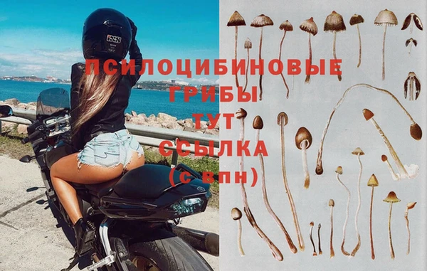 СК Горно-Алтайск