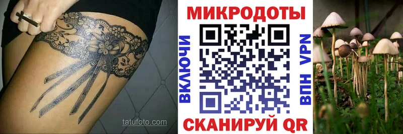 Галлюциногенные грибы MAGIC MUSHROOMS  Купить где  Буйнакск 